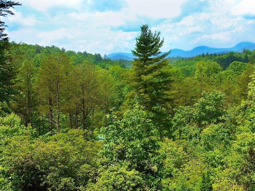 Long Mountain Lodge Bed & Breakfast Dahlonega Δωμάτιο φωτογραφία