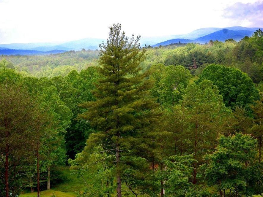 Long Mountain Lodge Bed & Breakfast Dahlonega Δωμάτιο φωτογραφία